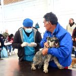 Vacunación antirrábica en la capital recorrerá comunidades durante todo mayo